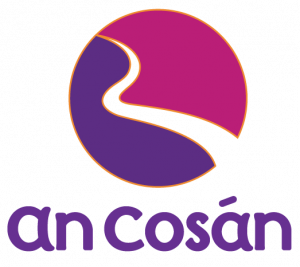 An Cosan Proudly bridging Ireland’s digital divide with award-winning, accessible learning tools.